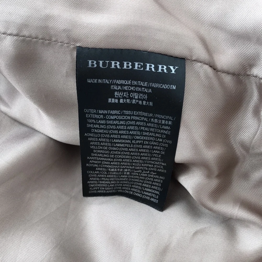 Burberry Runway AW18 Double Collar Shearling Aviator Jacket - Picture 12 of 16